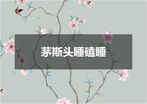 茅斯头睡磕睡