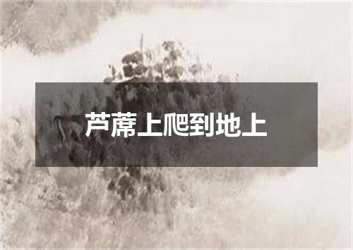 芦蓆上爬到地上
