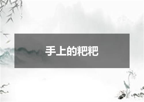 手上的粑粑