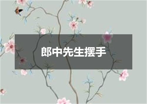 郎中先生摆手