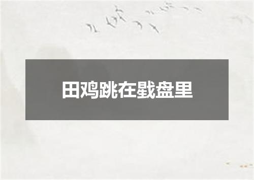 田鸡跳在戥盘里