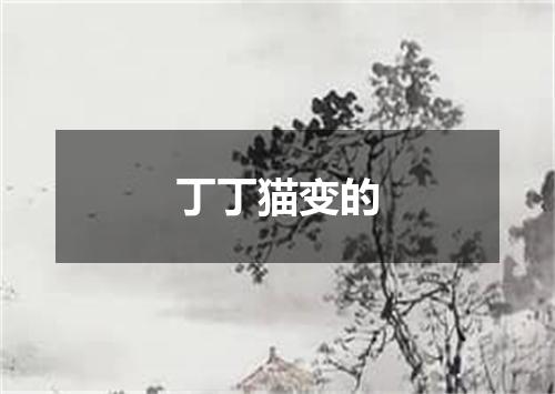 丁丁猫变的