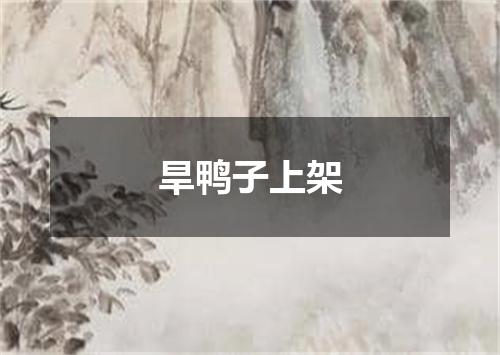 旱鸭子上架