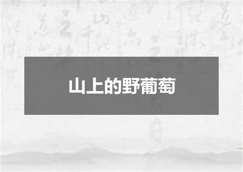 山上的野葡萄