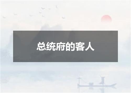 总统府的客人