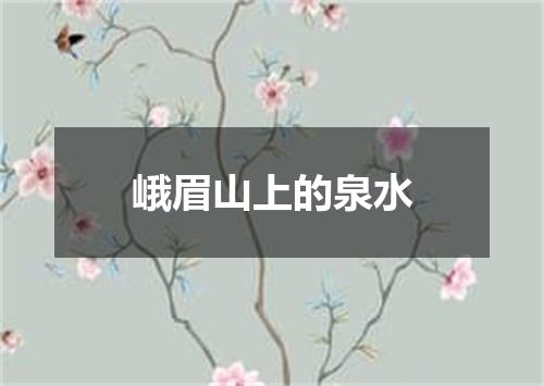峨眉山上的泉水