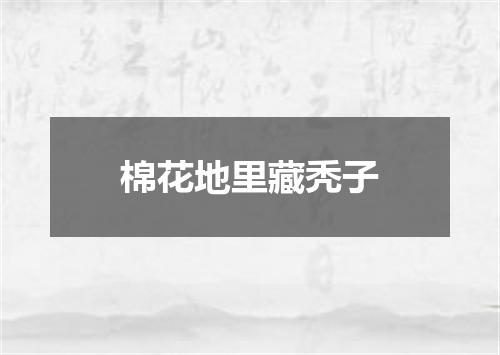 棉花地里藏秃子