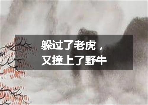 躲过了老虎，又撞上了野牛