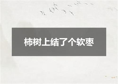 柿树上结了个软枣