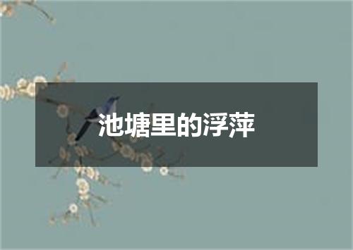 池塘里的浮萍