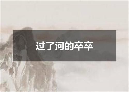 过了河的卒卒