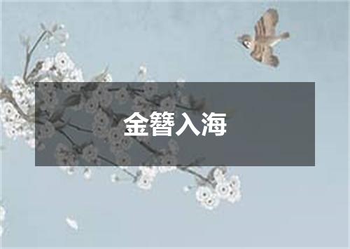 金簪入海