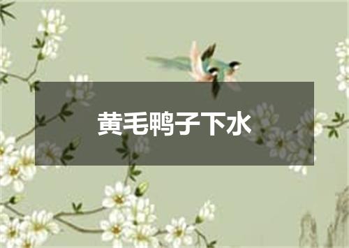 黄毛鸭子下水