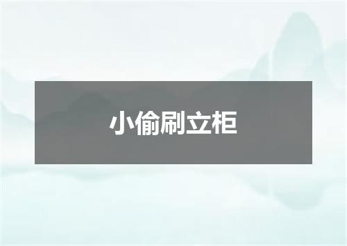 小偷刷立柜