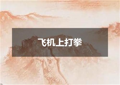 飞机上打拳