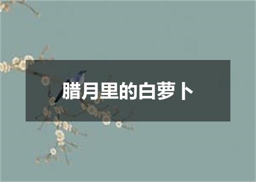 腊月里的白萝卜