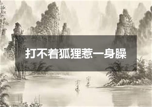 打不着狐狸惹一身臊