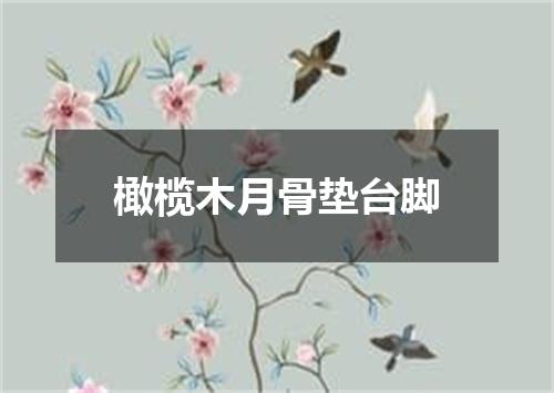 橄榄木月骨垫台脚