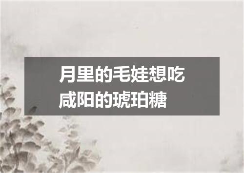 月里的毛娃想吃咸阳的琥珀糖