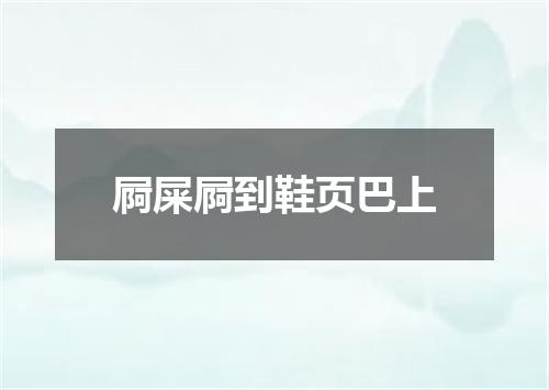 屙屎屙到鞋页巴上