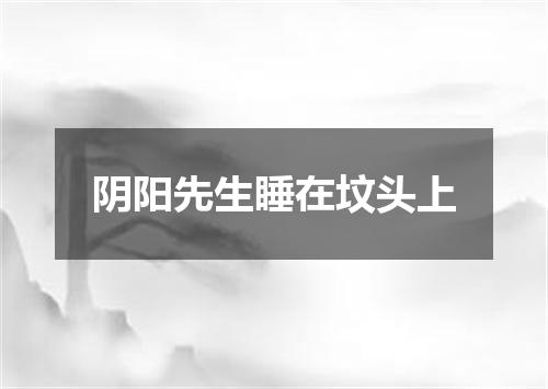 阴阳先生睡在坟头上