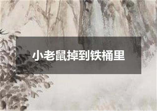 小老鼠掉到铁桶里