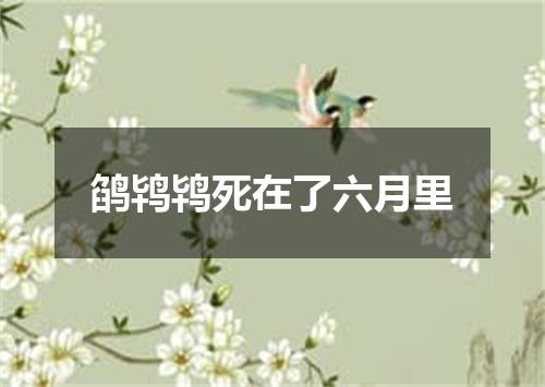 鹐鸨鸨死在了六月里