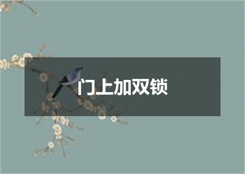 门上加双锁