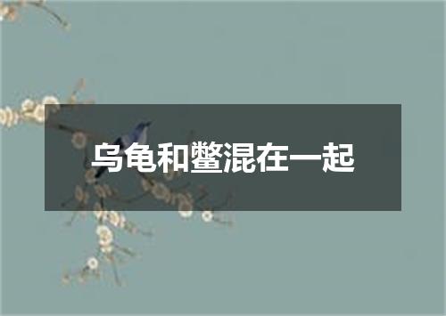 乌龟和鳖混在一起