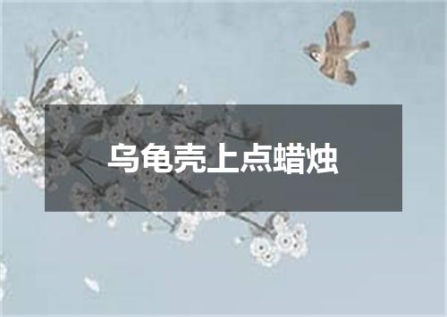 乌龟壳上点蜡烛
