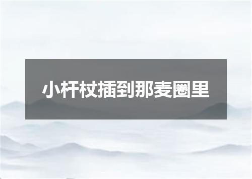 小杆杖插到那麦圈里