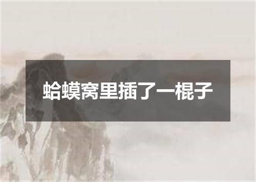 蛤蟆窝里插了一棍子