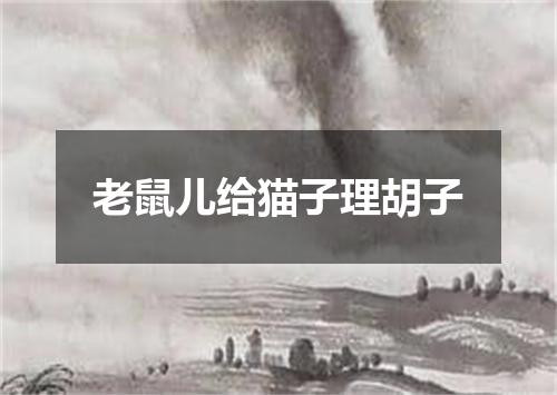 老鼠儿给猫子理胡子