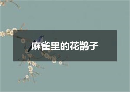 麻雀里的花鹊子