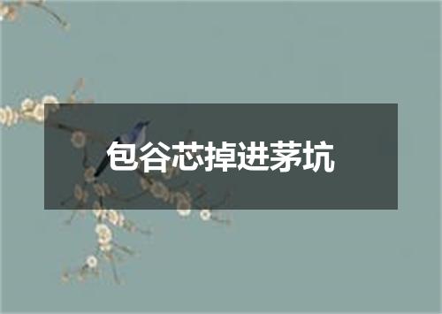 包谷芯掉进茅坑