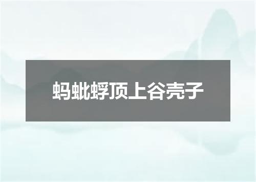蚂蚍蜉顶上谷壳子