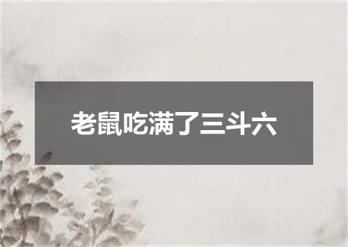 老鼠吃满了三斗六