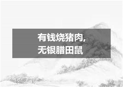 有钱烧猪肉,无银腊田鼠
