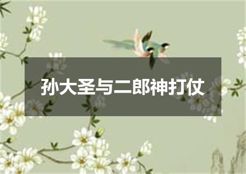 孙大圣与二郎神打仗