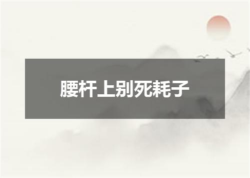 腰杆上别死耗子