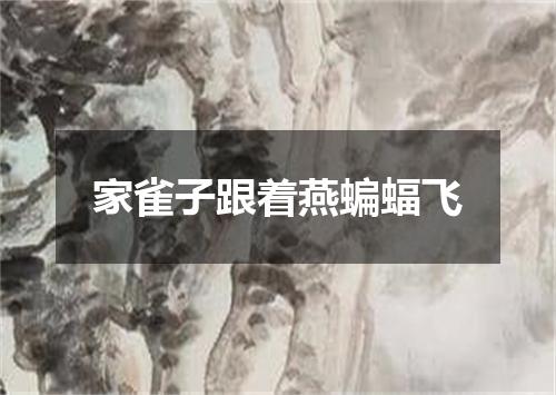 家雀子跟着燕蝙蝠飞