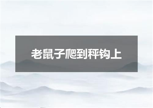 老鼠子爬到秤钩上