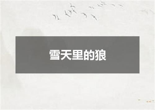 雪天里的狼