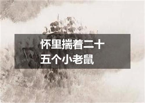 怀里揣着二十五个小老鼠