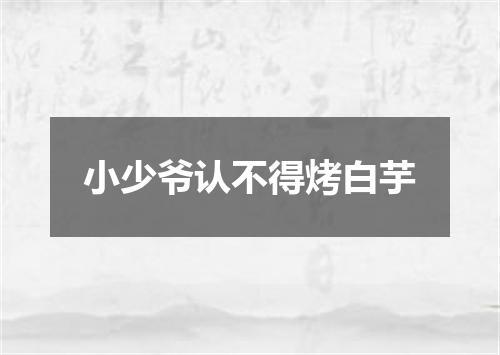 小少爷认不得烤白芋