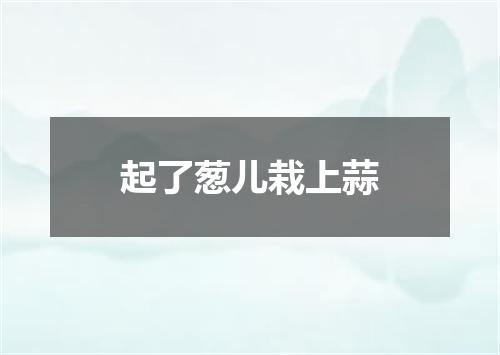 起了葱儿栽上蒜