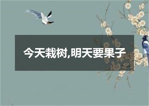 今天栽树,明天要果子
