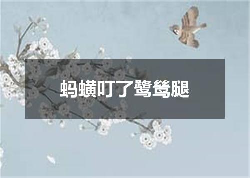 蚂蟥叮了鹭鸶腿