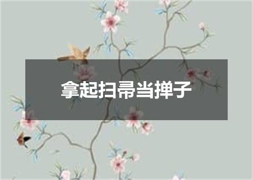 拿起扫帚当掸子