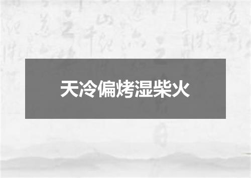 天冷偏烤湿柴火